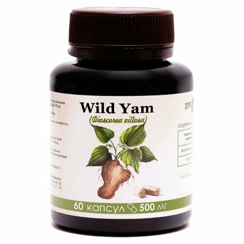     Wild Yam 60    -     -,    