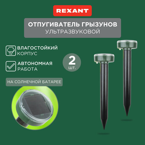     REXANT     REXANT 2  (71-0037) (20 ..)  2 .   -     -,    