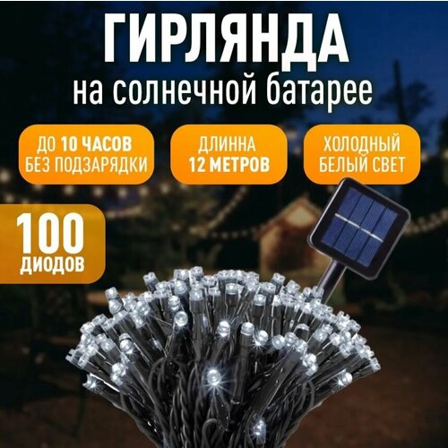        , 100LED   -     -,    