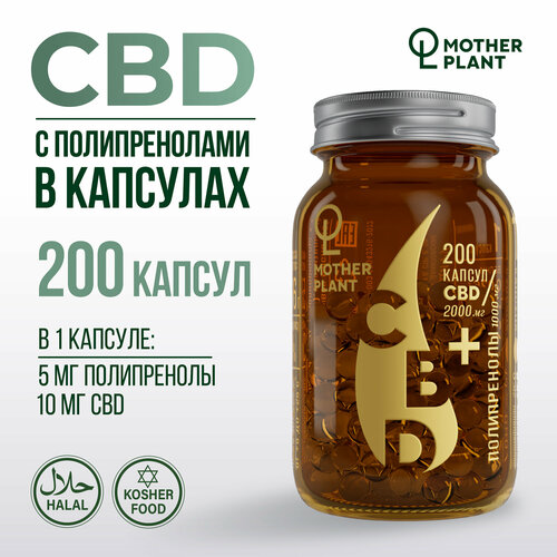    CBD     (200   10 ), Motherplant   -     -,    