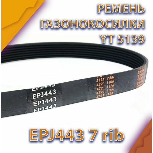      Technobelt EPJ443   -     -,    