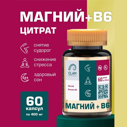       + 6,    (magnesium),        Magnesium Citrate   -     -,    