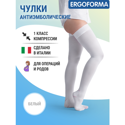     Ergoforma 1  ,  2,    -     -,    