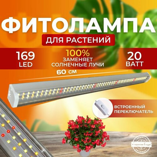       ,    ,     ,  168 LED 20    -     -,    