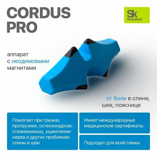   Cordus Pro ( ) -      .   -     -,    