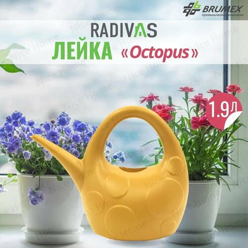   Radivas     Octopus  H1-01-37,      -     -,    