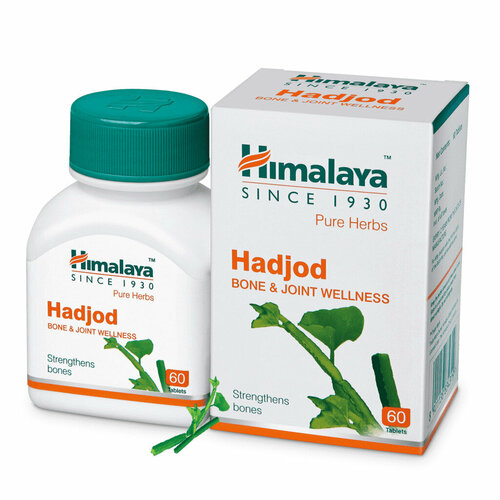   Himalaya Hadjod /  60 .   -     -,    