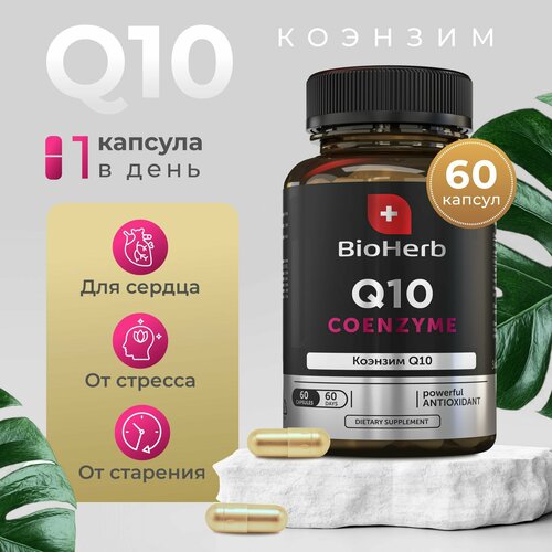   BioHerb   Q10,     , 60    -     -,    