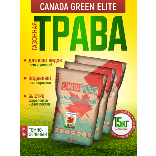         15 /  15/ Canada Green Elite 15/   , ,    -     -,    