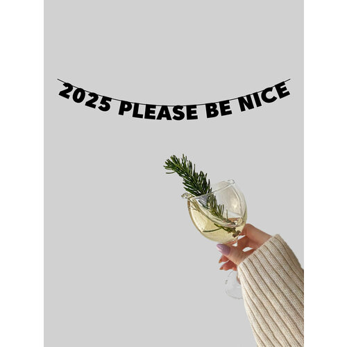        - 2025 please be nice   -     -,    