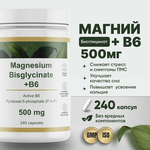      500     B6 (p-5-p) 240  Restartbio magnesium chelate bisglycinate b6      -     -,    