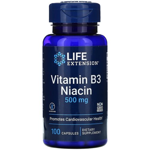    Life Extension Vitamin B3 Niacin, 90 , 500 , 100 .   -     -,    