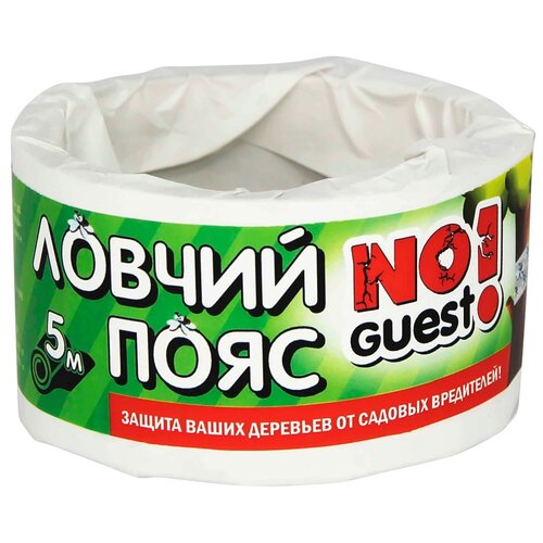   NoGuest!       , 100    -     -,    