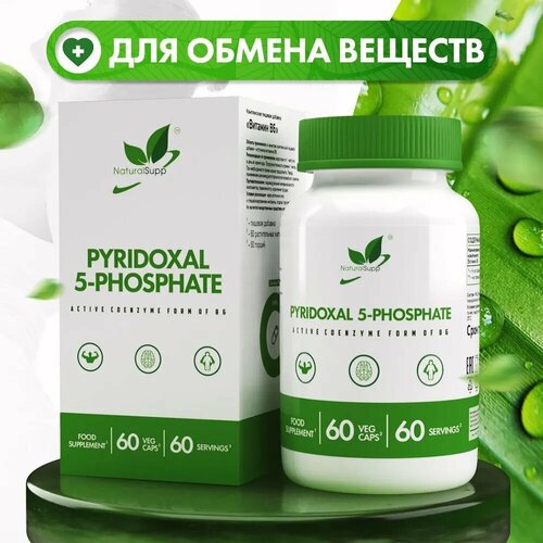    6 NATURALSUPP Vegan 5-Phosphate Pyridoxal (60 )   -     -,    