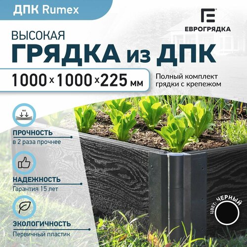      1   1 , ( Rumex: 22530 , : )   -     -,    