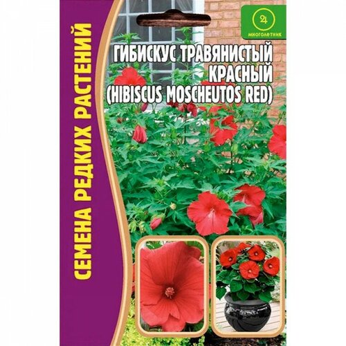     (Hibiscus moscheutos red) (5 ).,  