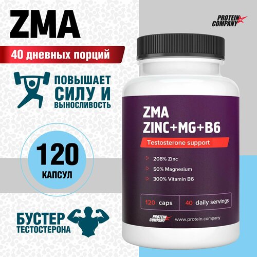   ZMA+ Zn+Mg+B6.  , ,  / /6, 40 , 120 .  776    -     -,    