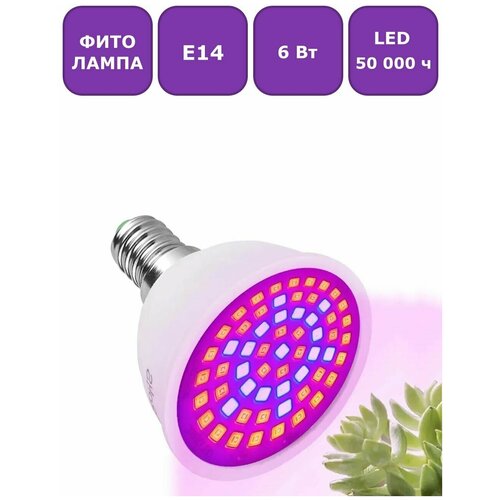     (  ) Maple Lamp PhytoLED, 14, 6 , . LED-E14-6W-Flora   -     -,    