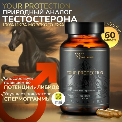   YOUR PROTECTION - 100%   .    . (60 )   -     -,    