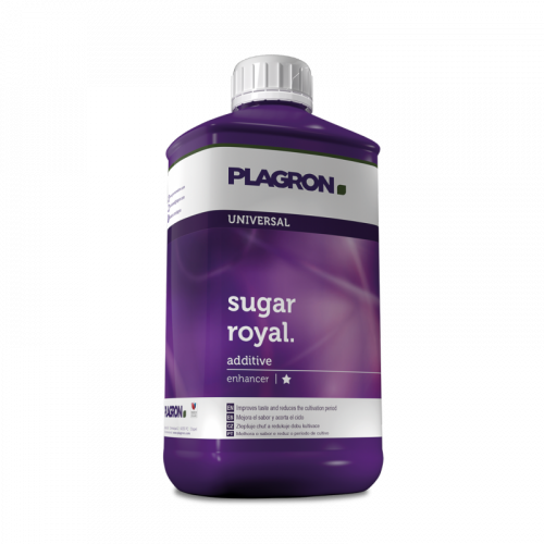    PLAGRON Sugar Royal (5 )   -     -,    