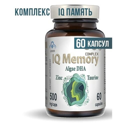    Memory          ,    , 60    -     -,    