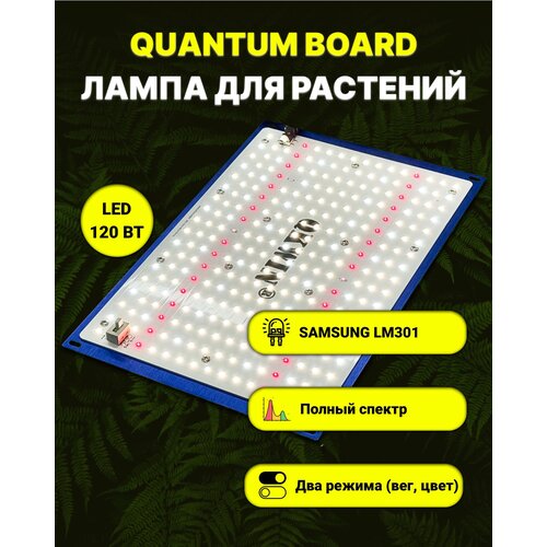     /   / quantum board/  / 120 / Mean Well/  Samsung LM-301. 5000, UV, IR   -     -,    