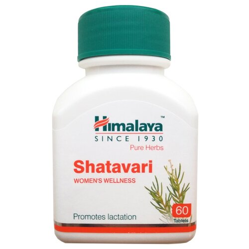   Shatavari, 60 , 60 .   -     -,    