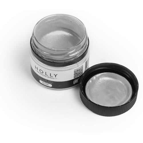   Holly Professional     /   ,    Color Gel Silver   -     -,    