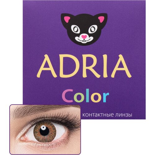     ADRIA Color 3 tone, 2 ., R 8,6, D -9, honey, 1 .   -     -,    