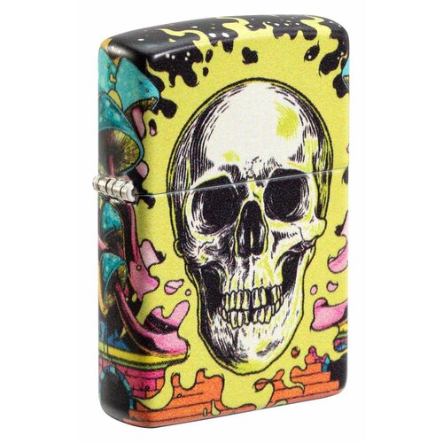     Zippo 48640 Skull Design   -     -,    