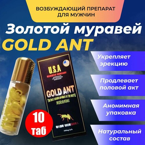   Gold Ant,     ,  ,     -     -,    