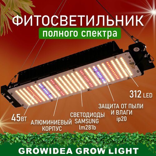        Led          -     -,    