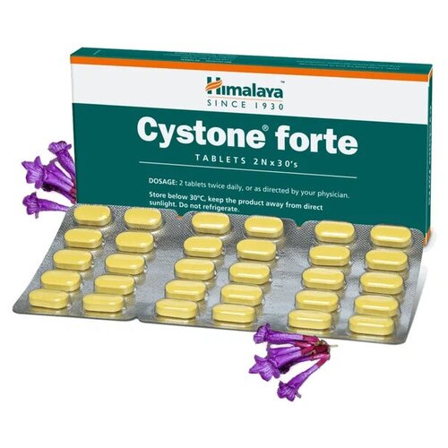      (Cystone Forte)    ,    , 60 .   -     -,    