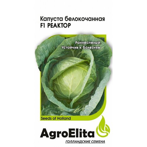       F1, 10, AgroElita   -     -,    