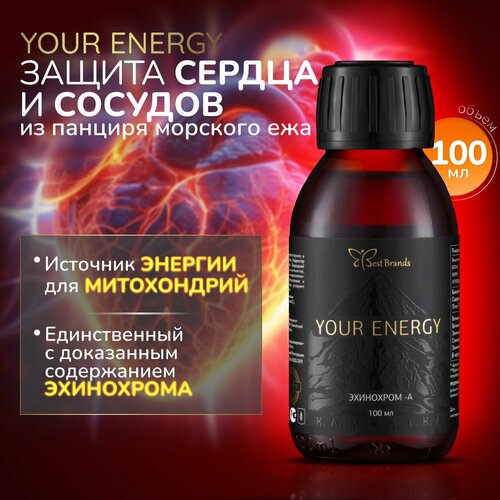     100 . (YOUR ENERGY).       ,   .   -     -,    