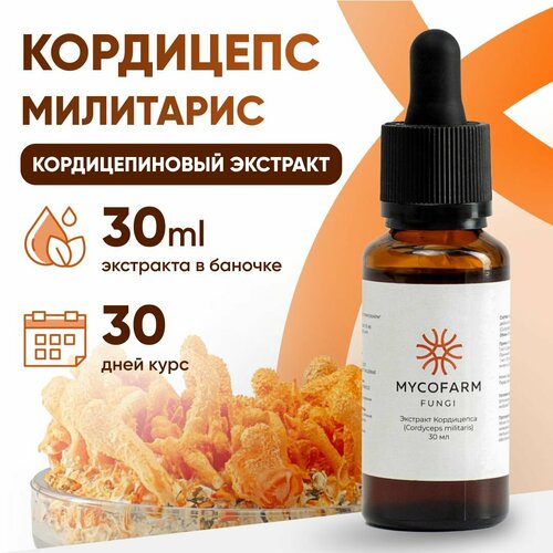      , 30  (Cordyceps militaris)   -     -,    