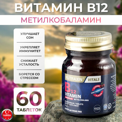    B12 12    -     -,    