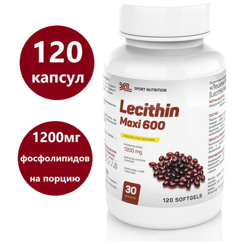     XL Lecithin Maxi, 120 ,     -     -,    