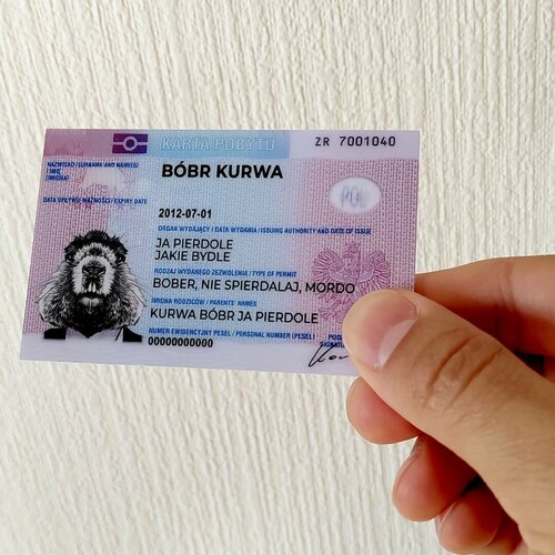     bobr kurwa (Bobr kurvva) 8656     -     -,    