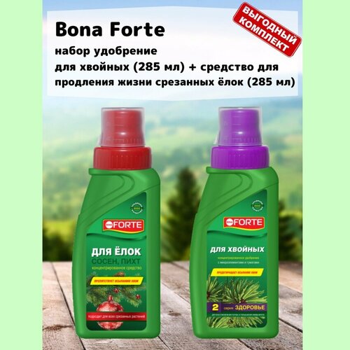       (285 ) +       (285 ) Bona Forte   -     -,    