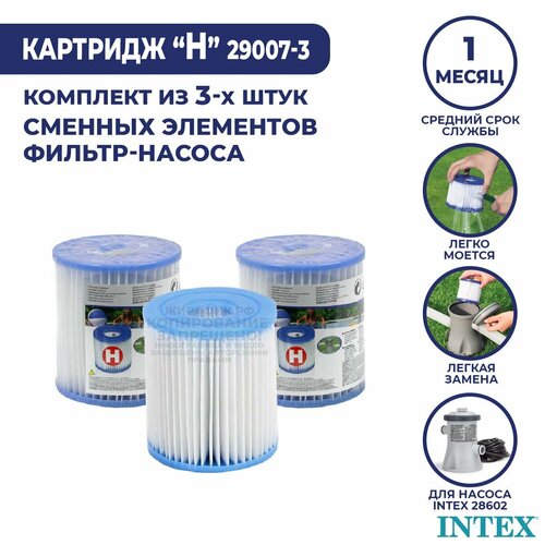      H Intex (- 3 .) 29007-3   -     -,    