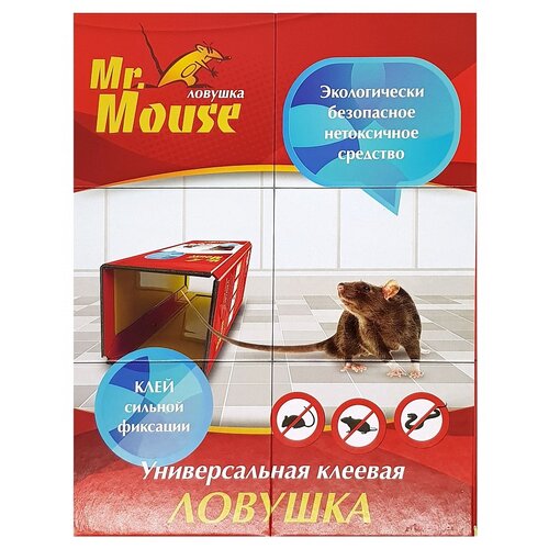     Mr. Mouse     (10 ..) green 3 .   -     -,    