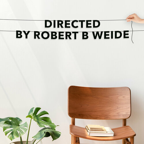    ,  - Directed by robert b weide,   .   -     -,    