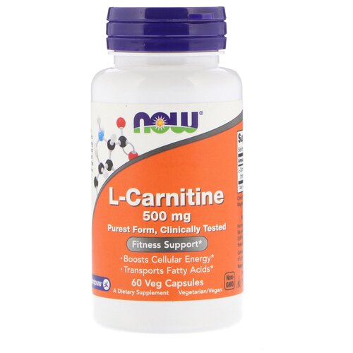   L-Carnitine ., 500 , 90 , 60 .   -     -,    