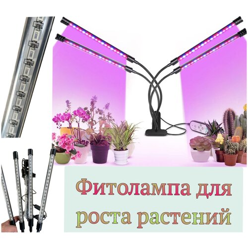        .   .   LED    , 4    -     -,    