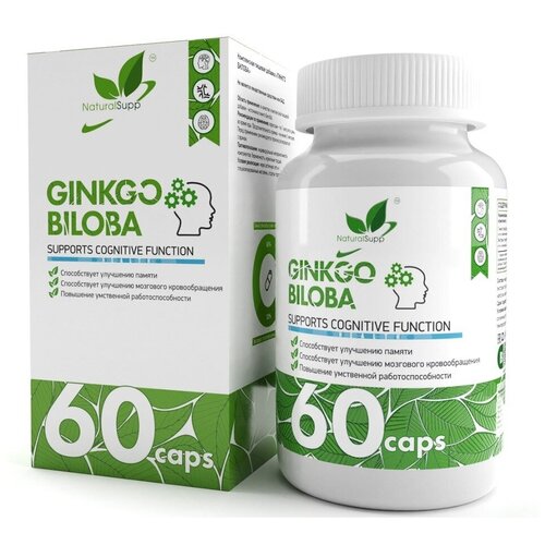    NaturalSupp Ginkgo Biloba, 60 .   -     -,    