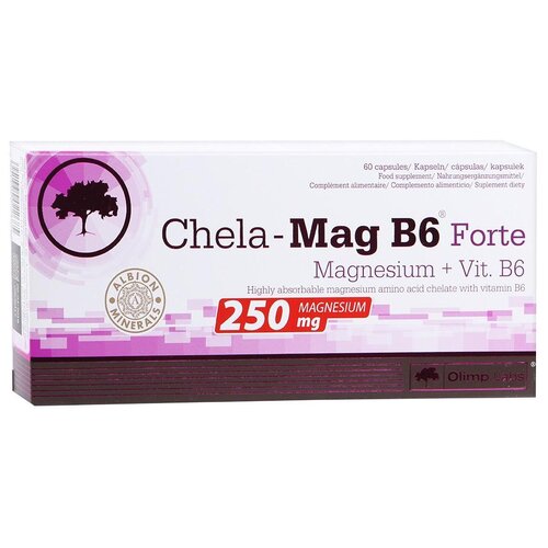   Olimp Labs Chela-Mag B6 Forte ., 250 , 100 , 60 .   -     -,    