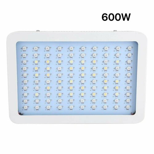      LED LIGHTS 600W   -     -,    