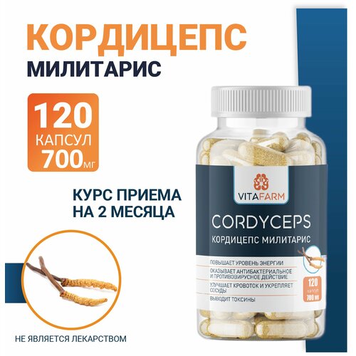     (Cordyceps militaris)  120 / 700    -     -,    