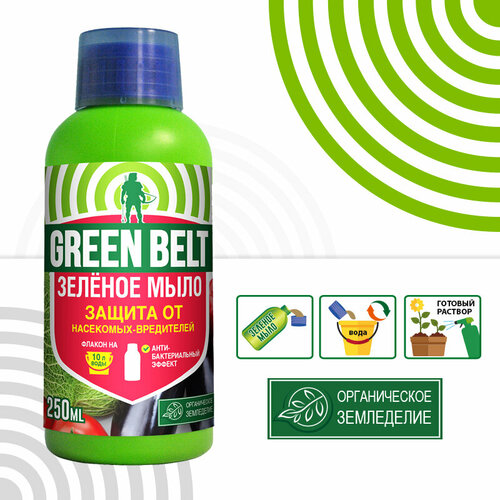       Green Belt 